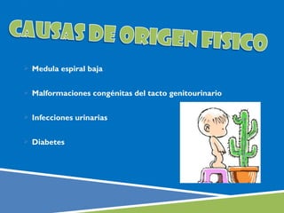  Medula espiral baja


 Malformaciones congénitas del tacto genitourinario


 Infecciones urinarias


 Diabetes
 