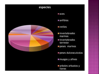 especies 
aves 
anfibios 
retiles 
invertebrados 
marinos 
invertebrados 
terreste 
peses marinos 
peses dulceacuicolas 
musgos y afines 
arboles arbustos y 
lianas 
 