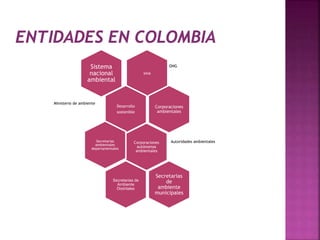 Sistema ONG 
nacional 
sina 
ambiental 
Desarrollo 
sostenible 
Ministerio de ambiente 
Corporaciones 
ambientales 
Secretarias Autoridades ambientales 
ambientales 
Corporaciones 
autónomas 
ambientales 
departamentales 
Secretarias de 
Ambiente 
Distritales 
Secretarias 
de 
ambiente 
municipales 
 
