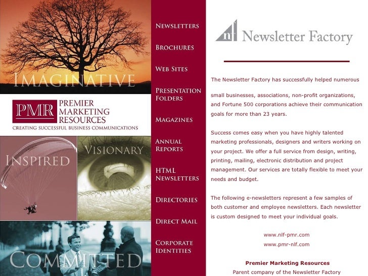 sample newsletter