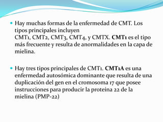  Hay muchas formas de la enfermedad de CMT. Los
tipos principales incluyen
CMT1, CMT2, CMT3, CMT4, y CMTX. CMT1 es el tip...
