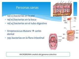 Personas sanas
10(12) bacterias en la piel
10(10) bacterias en la boca
10(14) bacterias en el tubo digestivo
Streptococcus Mutans  caries
dental
395 bacterias en la flora intestinal

MICROBIOMA: analisis del genoma colectivo

 