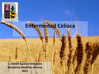 C. Daniel Agüero Velásquez
Residente Medicina Interna
2015
Enfermedad Celiaca
 