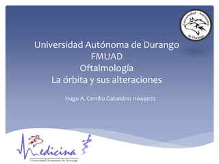 Universidad Autónoma de Durango
FMUAD
Oftalmología
La órbita y sus alteraciones
Hugo A. Cerrillo Gabaldon 11049072
 