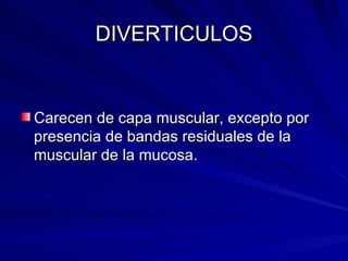 DIVERTICULOS Carecen de capa muscular, excepto por presencia de bandas residuales de la muscular de la mucosa. 