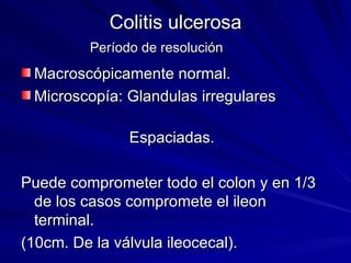 Colitis ulcerosa Período de resolución   Macroscópicamente normal. Microscopía: Glandulas irregulares  Espaciadas. Puede comprometer todo el colon y en 1/3 de los casos compromete el ileon terminal. (10cm. De la válvula ileocecal). 
