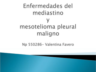 Np 550286- Valentina Favero 