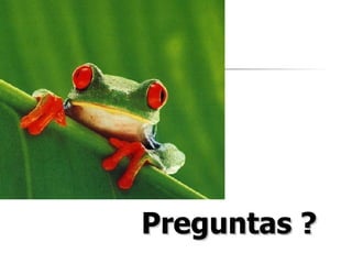 Preguntas ? 