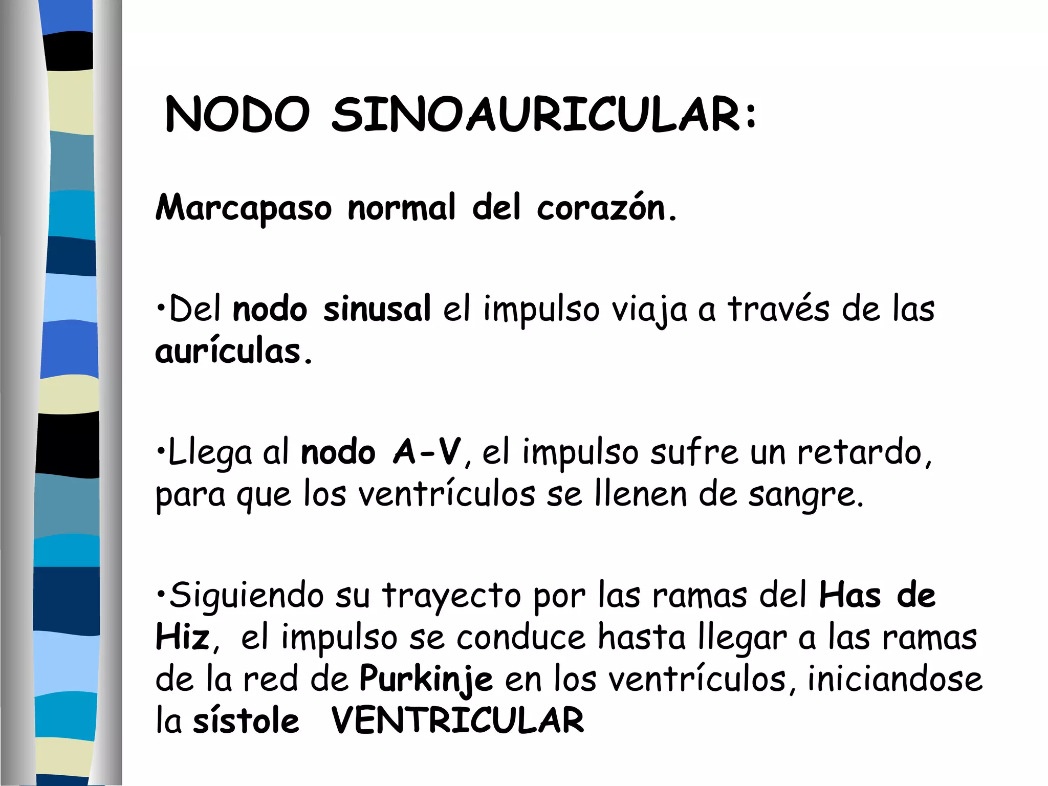 Marcapaso normal del corazón.   Del  nodo sinusal  el impulso viaja a través de las  aurículas. Llega al  nodo A-V , el impulso sufre un retardo, para que los ventrículos se llenen de sangre. Siguiendo su trayecto por las ramas del  Has de Hiz ,  el impulso se conduce hasta llegar a las ramas de la red de  Purkinje  en los ventrículos, iniciandose la  sístole  VENTRICULAR NODO SINOAURICULAR: 