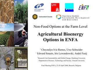 Non-Food Options at the Farm Level Agricultural Bioenergy Options in ENFA *  Chrystalyn Ivie Ramos, Uwe Schneider +  Edward Smeets, Iris Lewandowski, André Faaij *   Research Unit Sustainability and Global Change, Hamburg University +  Department of Science, Technology and Society, Utrecht University Final Meeting ENFA, 23-24 April 2008, Brussels, Belgium Copernicus Institute Sustainable Development and Innovation 