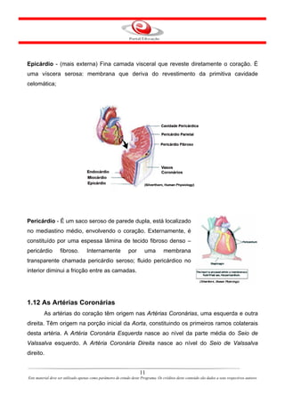 Epicárdio - (mais externa) Fina camada visceral que reveste diretamente o coração. É
uma víscera serosa: membrana que deriva do revestimento da primitiva cavidade
celomática;




Pericárdio - É um saco seroso de parede dupla, está localizado
no mediastino médio, envolvendo o coração. Externamente, é
constituído por uma espessa lâmina de tecido fibroso denso –
pericárdio          fibroso.        Internamente               por       uma         membrana
transparente chamada pericárdio seroso; fluido pericárdico no
interior diminui a fricção entre as camadas.




1.12 As Artérias Coronárias
         As artérias do coração têm origem nas Artérias Coronárias, uma esquerda e outra
direita. Têm origem na porção inicial da Aorta, constituindo os primeiros ramos colaterais
desta artéria. A Artéria Coronária Esquerda nasce ao nível da parte média do Seio de
Valssalva esquerdo. A Artéria Coronária Direita nasce ao nível do Seio de Valssalva
direito.


                                                                      11
Este material deve ser utilizado apenas como parâmetro de estudo deste Programa. Os créditos deste conteúdo são dados a seus respectivos autores
 