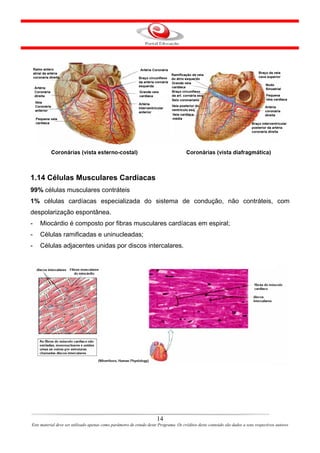 1.14 Células Musculares Cardíacas
99% células musculares contráteis
1% células cardíacas especializada do sistema de condução, não contráteis, com
despolarização espontânea.
-   Miocárdio é composto por fibras musculares cardíacas em espiral;
-   Células ramificadas e uninucleadas;
-   Células adjacentes unidas por discos intercalares.




                                                                      14
Este material deve ser utilizado apenas como parâmetro de estudo deste Programa. Os créditos deste conteúdo são dados a seus respectivos autores
 