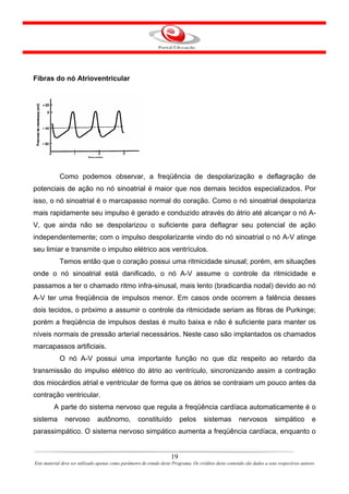 Fibras do nó Atrioventricular




            Como podemos observar, a freqüência de despolarização e deflagração de
potenciais de ação no nó sinoatrial é maior que nos demais tecidos especializados. Por
isso, o nó sinoatrial é o marcapasso normal do coração. Como o nó sinoatrial despolariza
mais rapidamente seu impulso é gerado e conduzido através do átrio até alcançar o nó A-
V, que ainda não se despolarizou o suficiente para deflagrar seu potencial de ação
independentemente; com o impulso despolarizante vindo do nó sinoatrial o nó A-V atinge
seu limiar e transmite o impulso elétrico aos ventrículos.
            Temos então que o coração possui uma ritmicidade sinusal; porém, em situações
onde o nó sinoatrial está danificado, o nó A-V assume o controle da ritmicidade e
passamos a ter o chamado ritmo infra-sinusal, mais lento (bradicardia nodal) devido ao nó
A-V ter uma freqüência de impulsos menor. Em casos onde ocorrem a falência desses
dois tecidos, o próximo a assumir o controle da ritmicidade seriam as fibras de Purkinge;
porém a freqüência de impulsos destas é muito baixa e não é suficiente para manter os
níveis normais de pressão arterial necessários. Neste caso são implantados os chamados
marcapassos artificiais.
            O nó A-V possui uma importante função no que diz respeito ao retardo da
transmissão do impulso elétrico do átrio ao ventrículo, sincronizando assim a contração
dos miocárdios atrial e ventricular de forma que os átrios se contraiam um pouco antes da
contração ventricular.
         A parte do sistema nervoso que regula a freqüência cardíaca automaticamente é o
sistema        nervoso          autônomo,            constituído           pelos       sistemas          nervosos          simpático          e
parassimpático. O sistema nervoso simpático aumenta a freqüência cardíaca, enquanto o


                                                                      19
Este material deve ser utilizado apenas como parâmetro de estudo deste Programa. Os créditos deste conteúdo são dados a seus respectivos autores
 