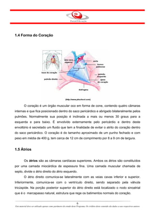 1.4 Forma do Coração




          O coração é um órgão muscular oco em forma de cone, contendo quatro câmaras
internas e que fica posicionado dentro do saco pericárdico e abrigado bilateralmente pelos
pulmões. Normalmente sua posição é inclinada a mais ou menos 30 graus para a
esquerda e para baixo. É envolvido externamente pelo pericárdio e dentro deste
envoltório é secretado um fluido que tem a finalidade de evitar o atrito do coração dentro
do saco pericárdico. O coração é do tamanho aproximado de um punho fechado e com
peso em média de 400 g, tem cerca de 12 cm de comprimento por 8 a 9 cm de largura.


1.5 Átrios


         Os átrios são as câmaras cardíacas superiores. Ambos os átrios são constituídos
por uma camada miocárdica de espessura fina. Uma camada muscular chamada de
septo, divide o átrio direito do átrio esquerdo.
         O átrio direito comunica-se lateralmente com as veias cavas inferior e superior.
Inferiormente, comunica-se com o ventrículo direito, sendo separado pela válvula
tricúspide. Na porção posterior superior do átrio direito está localizado o nodo sinoatrial
que é o marcapasso natural, estrutura que rege os batimentos normais do coração.


                                                                       6
Este material deve ser utilizado apenas como parâmetro de estudo deste Programa. Os créditos deste conteúdo são dados a seus respectivos autores
 