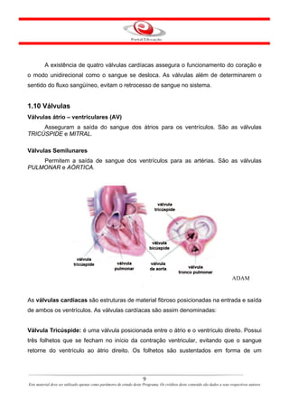 A existência de quatro válvulas cardíacas assegura o funcionamento do coração e
o modo unidirecional como o sangue se desloca. As válvulas além de determinarem o
sentido do fluxo sangüíneo, evitam o retrocesso de sangue no sistema.


1.10 Válvulas
Válvulas átrio – ventriculares (AV)
     Asseguram a saída do sangue dos átrios para os ventrículos. São as válvulas
TRICÚSPIDE e MITRAL.

Válvulas Semilunares
    Permitem a saída de sangue dos ventrículos para as artérias. São as válvulas
PULMONAR e AÓRTICA.




                                                                                                                              ADAM


As válvulas cardíacas são estruturas de material fibroso posicionadas na entrada e saída
de ambos os ventrículos. As válvulas cardíacas são assim denominadas:


Válvula Tricúspide: é uma válvula posicionada entre o átrio e o ventrículo direito. Possui
três folhetos que se fecham no início da contração ventricular, evitando que o sangue
retorne do ventrículo ao átrio direito. Os folhetos são sustentados em forma de um



                                                                       9
Este material deve ser utilizado apenas como parâmetro de estudo deste Programa. Os créditos deste conteúdo são dados a seus respectivos autores
 