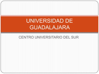 CENTRO UNIVERSITARIO DEL SUR
UNIVERSIDAD DE
GUADALAJARA
 