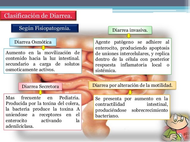 Enfermedad Diarreica Aguda