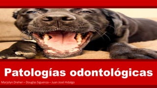 Patologías odontológicas
Marjolyn Dreher – Douglas Siguenza – Juan José Hidalgo
 