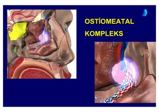 OST:OMEATAL
KOMPLEKS
OSTOST::OMEATALOMEATAL
KOMPLEKSKOMPLEKS
 