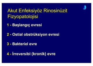Akut EnfeksiyAkut Enfeksiyöözz RinosRinosininüüzitzit
FizyopatoFizyopatolojisilojisi
11 -- BaBa((langlang çç evresievresi
22 -- OstialOstial obstrobstrüüksiyonksiyon evresievresi
33 -- BakterielBakteriel evreevre
44 -- ::rreversiblrreversibl ((kronikkronik)) evreevre
 