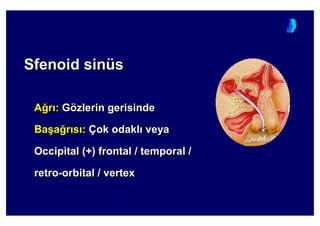 Sfenoid sinüsSfenoidSfenoid sinsinüüss
A4r : Gözlerin gerisinde
Ba(a4r s : Çok odakl veya
Occipital (+) frontal / temporal /
retro-orbital / vertex
AA44rr :: GGöözlerin gerisindezlerin gerisinde
BaBa((aa44rr ss :: ÇÇokok odaklodakl veyaveya
Occipital (+) frontalOccipital (+) frontal // temporaltemporal //
retroretro--orbitalorbital // vertexvertex
 