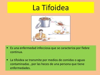 La Tifoidea
 Es una enfermedad infecciosa que se caracteriza por fiebre
continua.
 La tifoidea se transmite por medios de comidas o aguas
contaminadas , por las heces de una persona que tiene
enfermedades.
 