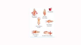 Enfemeria Profecional.pdf