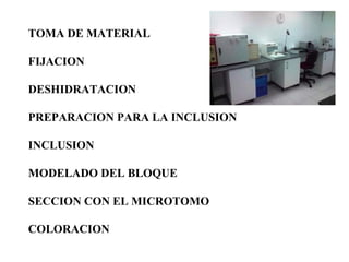 TOMA DE MATERIAL
FIJACION
DESHIDRATACION
PREPARACION PARA LA INCLUSION
INCLUSION
MODELADO DEL BLOQUE
SECCION CON EL MICROTOMO
COLORACION
 