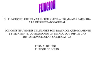 SU FUNCION ES PRESERVAR EL TEJIDO EN LA FORMA MAS PARECIDA
A LA DE SU ESTADO NORMAL
LOS CONSTITUYENTES CELULARES SON TRATADOS QUIMICAMENTE
Y FISICAMENTE, QUEDANDO EN UN ESTADO QUE IMPIDE UNA
DISTORSION CELULAR SIGNIFICATIVA
FORMALDEHIDO
FIJADOR DE BOUIN
 