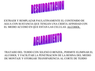 EXTRAER Y REMPLAZAR PAULATINAMENTE EL CONTENIDO DE
AGUA CON SUSTANCIA QUE TENGAN UNA CIERTA AFINIDAD CON
EL MEDIO ACUOSO EN QUE ESTAN LAS CELULAS: ALCOHOL
TRATADO DEL TEJIDO CON XILENO O BENZOL, PERMITE ELIMINAR EL
ALCOHOL Y FACILITAR LA PENETRACION DE LA RESINA DEL MEDIO
DE MONTAJE Y OTORGAR TRANSPARENCIA AL CORTE DE TEJIDO
 
