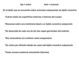 Epi = sobre telio = acúmulo
Es el tejido que se encuentra sobre acúmulos subyacentes de tejido conectivo
*Cubren todas las superficies externas e internas del cuerpo
*Descansa sobre una membrana basal y un tejido conectivo subyacente
*Se desarrolla de cada una de las tres capas germinales del embrión
*Son avasculares (no contiene vasos sanguíneos)
*Se nutren por difusión desde los vasos del tejido conectivo subyacente
*Posee escasa sustancia extracelular (láminas)
 