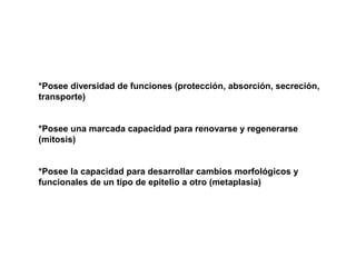 *Posee diversidad de funciones (protección, absorción, secreción,
transporte)
*Posee una marcada capacidad para renovarse y regenerarse
(mitosis)
*Posee la capacidad para desarrollar cambios morfológicos y
funcionales de un tipo de epitelio a otro (metaplasia)
 