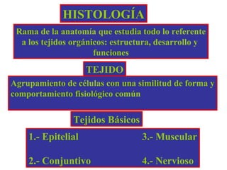 HISTOLOGÍA
Rama de la anatomía que estudia todo lo referente
a los tejidos orgánicos: estructura, desarrollo y
funciones
TEJIDO
Agrupamiento de células con una similitud de forma y
comportamiento fisiológico común
Tejidos Básicos
1.- Epitelial 3.- Muscular
2.- Conjuntivo 4.- Nervioso
 