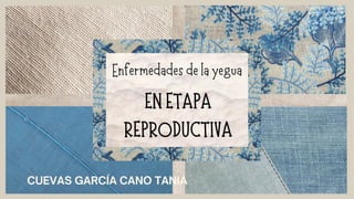 EN ETAPA
REPRODUCTIVA
Enfermedades de la yegua
CUEVAS GARCÍA CANO TANIA
 