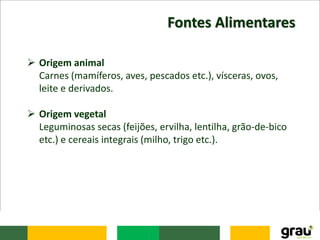 Fontes Alimentares
 Origem animal
Carnes (mamíferos, aves, pescados etc.), vísceras, ovos,
leite e derivados.
 Origem vegetal
Leguminosas secas (feijões, ervilha, lentilha, grão-de-bico
etc.) e cereais integrais (milho, trigo etc.).
 