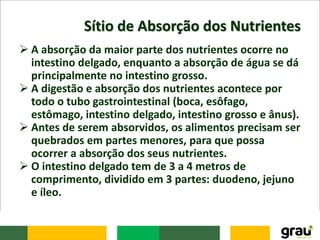 Sítio de Absorção dos Nutrientes
 A absorção da maior parte dos nutrientes ocorre no
intestino delgado, enquanto a absorção de água se dá
principalmente no intestino grosso.
 A digestão e absorção dos nutrientes acontece por
todo o tubo gastrointestinal (boca, esôfago,
estômago, intestino delgado, intestino grosso e ânus).
 Antes de serem absorvidos, os alimentos precisam ser
quebrados em partes menores, para que possa
ocorrer a absorção dos seus nutrientes.
 O intestino delgado tem de 3 a 4 metros de
comprimento, dividido em 3 partes: duodeno, jejuno
e íleo.
 