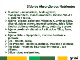 Sítio de Absorção dos Nutrientes
 Duodeno - aminoácidos, ácidos graxos,
monoglicerídeos, monossacarídeos, lactose, Vit. A e
B, glicerol e cálcio.
 Jejuno - glicose, galactose, Vitamina C, aminoácidos,
glicerol, ácidos graxos, monoglicerídeos, ácido fólico,
biotina, ácido pantotênico, zinco, potássio, e cobre.
 Jejuno proximal - vitamina A e B, ácido fólico, ferro,
lactose.
 Jejuno distal - dipeptídeos, maltose, trealose e
sacarose.
 Íleo - cloreto, sódio.
 Íleo Proximal - potássio, maltose, trealose e sacarose.
 Íleo Distal - vitamina B12 (fator intrínseco), sais
biliares.
 Cólon - água e eletrólitos.
 