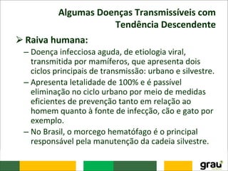 Algumas Doenças Transmissíveis com
Tendência Descendente
⮚Raiva humana:
– Doença infecciosa aguda, de etiologia viral,
transmitida por mamíferos, que apresenta dois
ciclos principais de transmissão: urbano e silvestre.
– Apresenta letalidade de 100% e é passível
eliminação no ciclo urbano por meio de medidas
eficientes de prevenção tanto em relação ao
homem quanto à fonte de infecção, cão e gato por
exemplo.
– No Brasil, o morcego hematófago é o principal
responsável pela manutenção da cadeia silvestre.
 