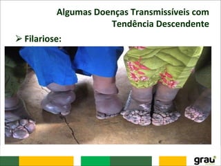 Algumas Doenças Transmissíveis com
Tendência Descendente
⮚Filariose:
– É causada por um nematódeo, a Wucheceria
bancrofti, e transmitida por mosquitos, Culex.
– No Brasil já foi muito prevalente, sendo que
atualmente está localizada em focos endêmicos na
região metropolitana do Recife e, em menor escala,
em Maceió, cidades onde as condições ambientais
e de drenagem favorecem a permanência de alto
índice de população vetorial.
– Em Belém, onde a eliminação encontra-se próxima,
a infecção ocorre de forma residual.
 