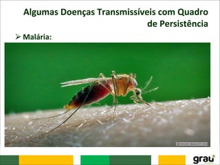 Algumas Doenças Transmissíveis com Quadro
de Persistência
⮚Malária:
– Acometia cerca de seis milhões de brasileiros por ano na
década de 40, em todas as regiões.
– As mudanças sociais ocorridas e o intenso trabalho de
controle desenvolvido por meio da Campanha de
Erradicação da Malária possibilitaram o relativo controle da
doença, que passou a apresentar uma ocorrência de menos
de 100 mil casos anuais e restringindo-se a Amazônia Legal
que responde por mais de 99% dos casos registrados no
País.
– Com os projetos de desenvolvimento da Amazônia houve
dispersão da malária pelas regiões Norte e Centro-Oeste,
com um aumento significativo do número de casos,
passando-se a alcançar níveis de 450 a 500 mil casos anuais.
 