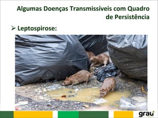 Algumas Doenças Transmissíveis com Quadro
de Persistência
⮚Leptospirose:
– A Leptospirose é uma zoonose de distribuição
mundial e notificação obrigatória no Brasil,
apresentando grande incidência em algumas
regiões, alto custo em internações hospitalares e
alta taxa de letalidade.
– É causada por um agente etiológico uma bactéria
do gênero Leptospira, encontrada na urina de
roedores e outros mamíferos infectados, que pode
cursar de forma leve, moderada ou grave.
 