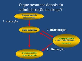 O que acontece depois da
administração da droga?
droga no local da
administração
droga no plasma
droga/metabólitos
urina, fezes, bile
droga/metabólitos
1. absorção
2. distribuição
4. eliminação
3. metabolismo
Nos tecidos
 
