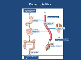 Farmacocinética
droga no localda
administração
absorção
absorção
droga no plasma
distribuição
metabolismo
excreção
droga/metabólitos
droga/metabólito
s
excreção
 