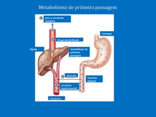 fígado
estomago
veia porta
Intestino
delgado
metabolismo de
primeira
passagem
para a circulação
sistêmica
absorção
droga metabolizada
circulação
hepático-portal
Metabolismo de primeira passagem
 