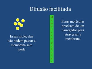 Difusão facilitada
Essas moléculas
não podem passar a
membrana sem
ajuda
Essas moléculas
precisam de um
carregador para
atravessar a
membrana
M
e
m
b
r
a
n
a
C
e
l
u
l
a
r
 