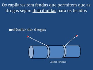 Os capilares tem fendas que permitem que as
drogas sejam distribuídas para os tecidos
moléculas das drogas
Capilar corpóreo
 