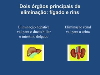 Dois órgãos principais de
eliminação: fígado e rins
Eliminação renal
vai para a urina
Eliminação hepática
vai para o ducto biliar
e intestino delgado
 