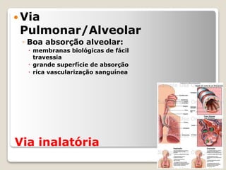 Via inalatória
 Via
Pulmonar/Alveolar
◦ Boa absorção alveolar:
 membranas biológicas de fácil
travessia
 grande superfície de absorção
 rica vascularização sanguínea
 