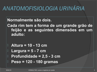Enfermagem em nefrologia 1 | PPT