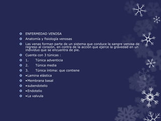  ENFERMEDAD VENOSA 
 Anatomía y fisiología venosas 
 Las venas forman parte de un sistema que conduce la sangre venosa de 
regreso al corazón, en contra de la acción que ejerce la gravedad en un 
individuo que se encuentra de pie. 
 Cuenta con 3 túnicas : 
 1. Túnica adventicia 
 2. Túnica media 
 3. Túnica íntima: que contiene 
 •Lamina elástica 
 •Membrana basal 
 •subendotelio 
 •Endotelio 
 •La valvula 
